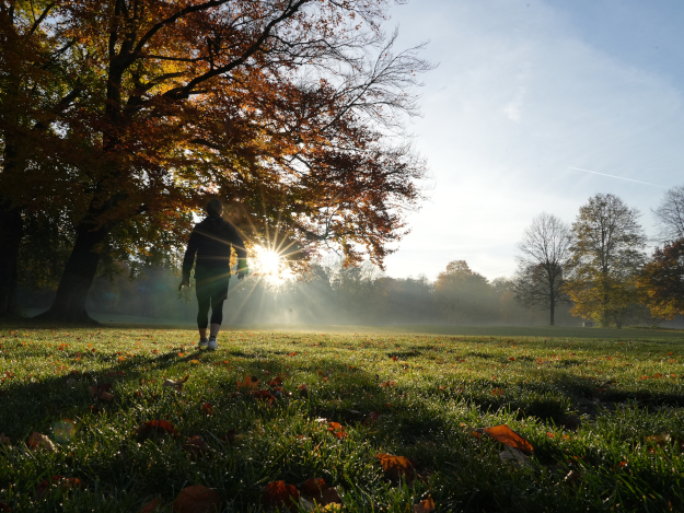 ein Spaziergang in der Natur kann sehr entspannend sein Spaziergang im Englischen Garten