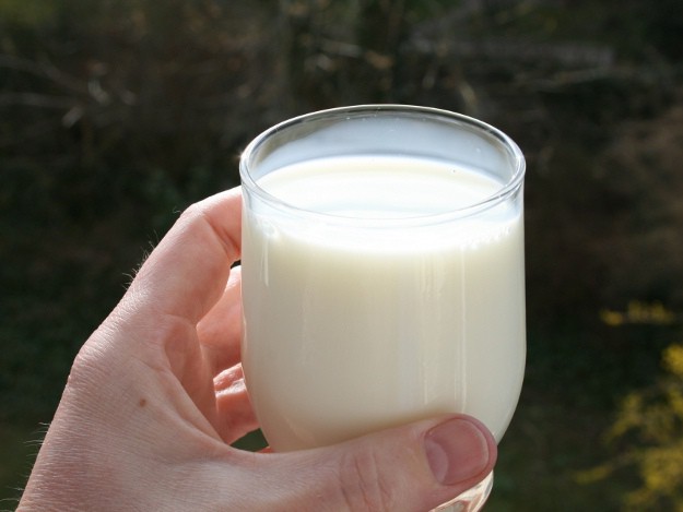 Milch trinken