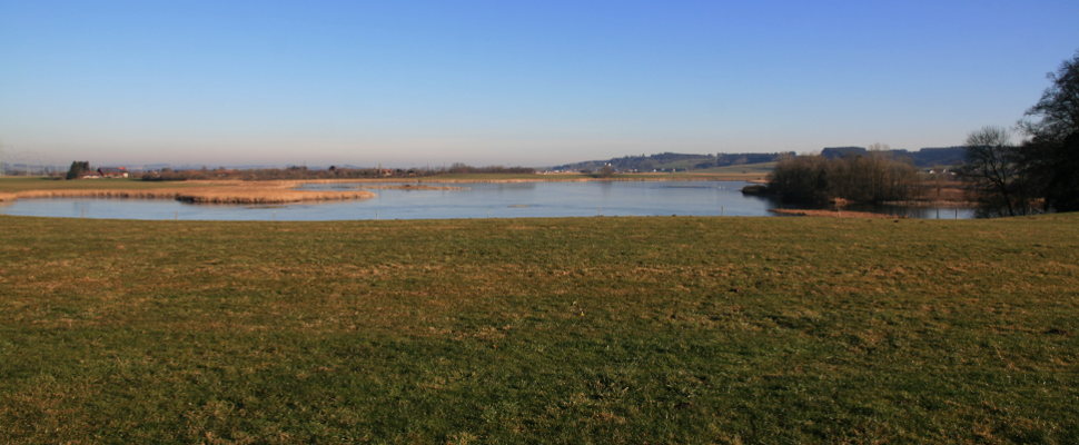 Rohrsee bei Bad Wurzach