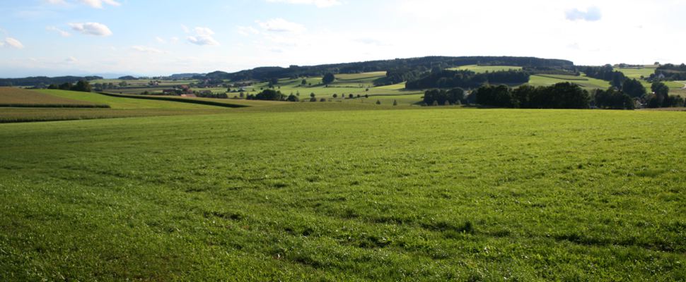 Aussicht von Truschwende auf Brugg und das Voralpengebiet